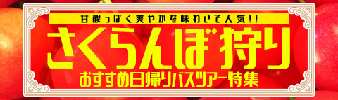 さくらんぼ狩り特集
